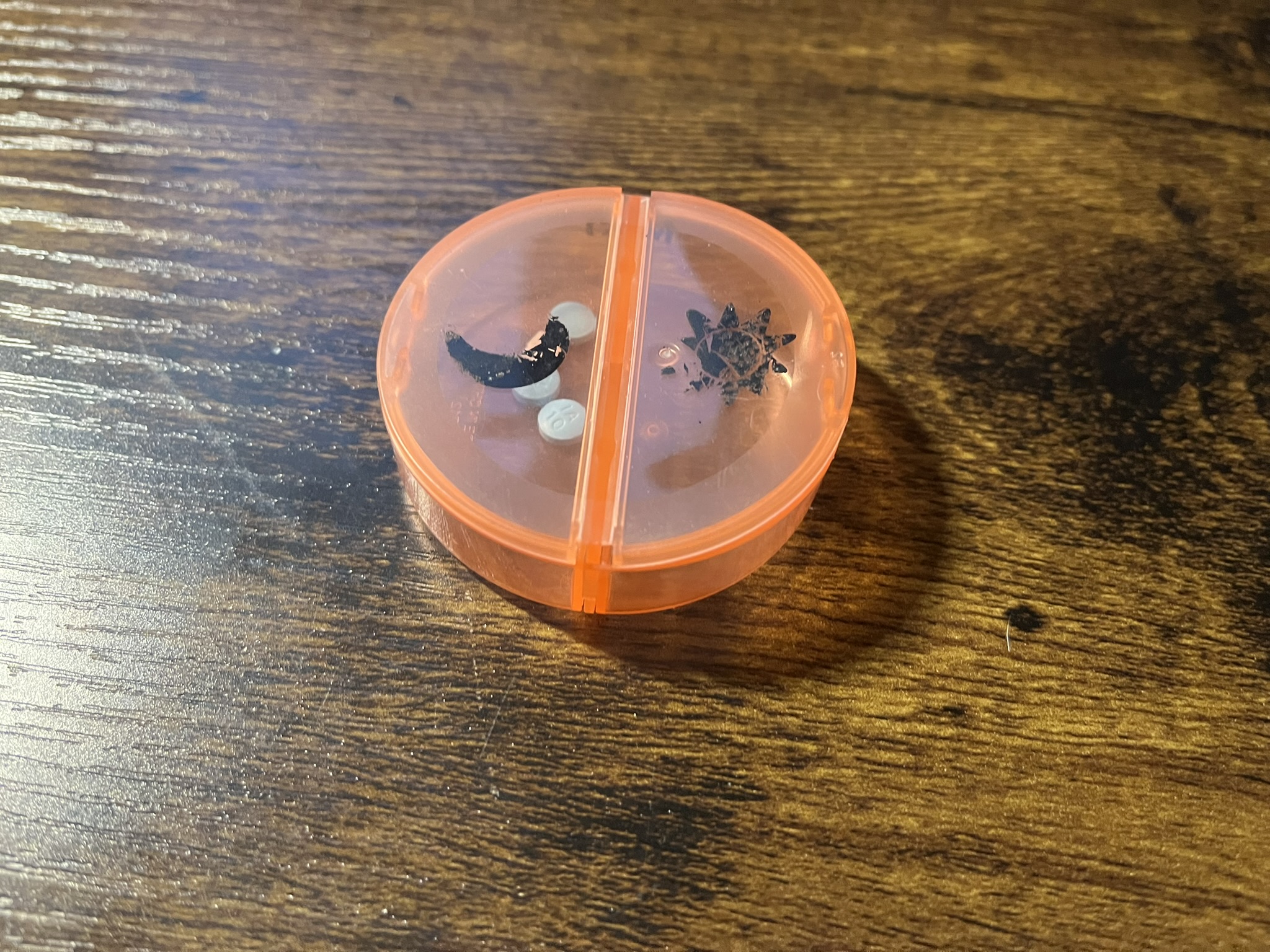 I take a variety of daily medications and I have one of these circle boxes for each day, they keep me on track!<br><audio controls src='/audio/pillbox.mp3'></audio>