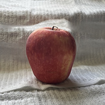 This is a delicious apple that I thought would be a good starting point.