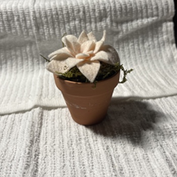 For one of my complex objects I thought this felt flower pot would be good, I like the shapes and I feel like it's acheivable.