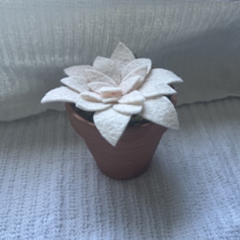 For one of my complex objects I thought this felt flower pot would be good, I like the shapes and I feel like it's acheivable.