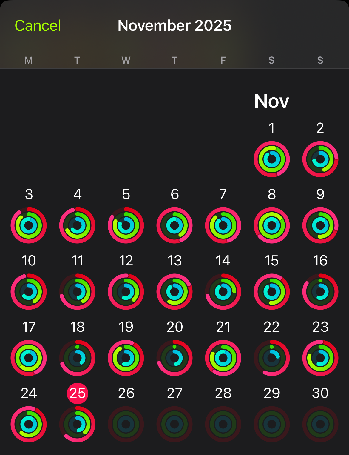 I also wear an Apple Watch every single day to track a variety of health data but the most lighthearted one is my fitness.