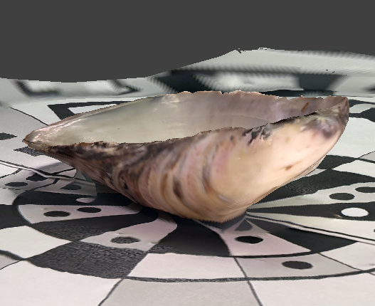 put a description here or you will lose grades