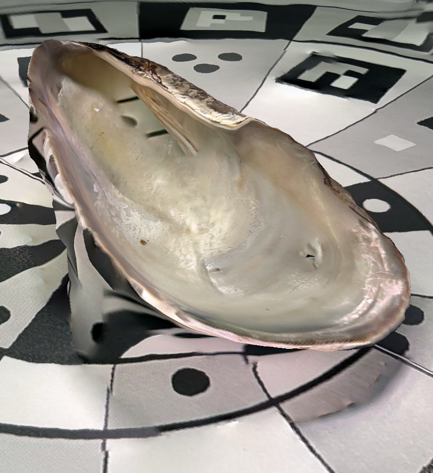 put a description here or you will lose grades